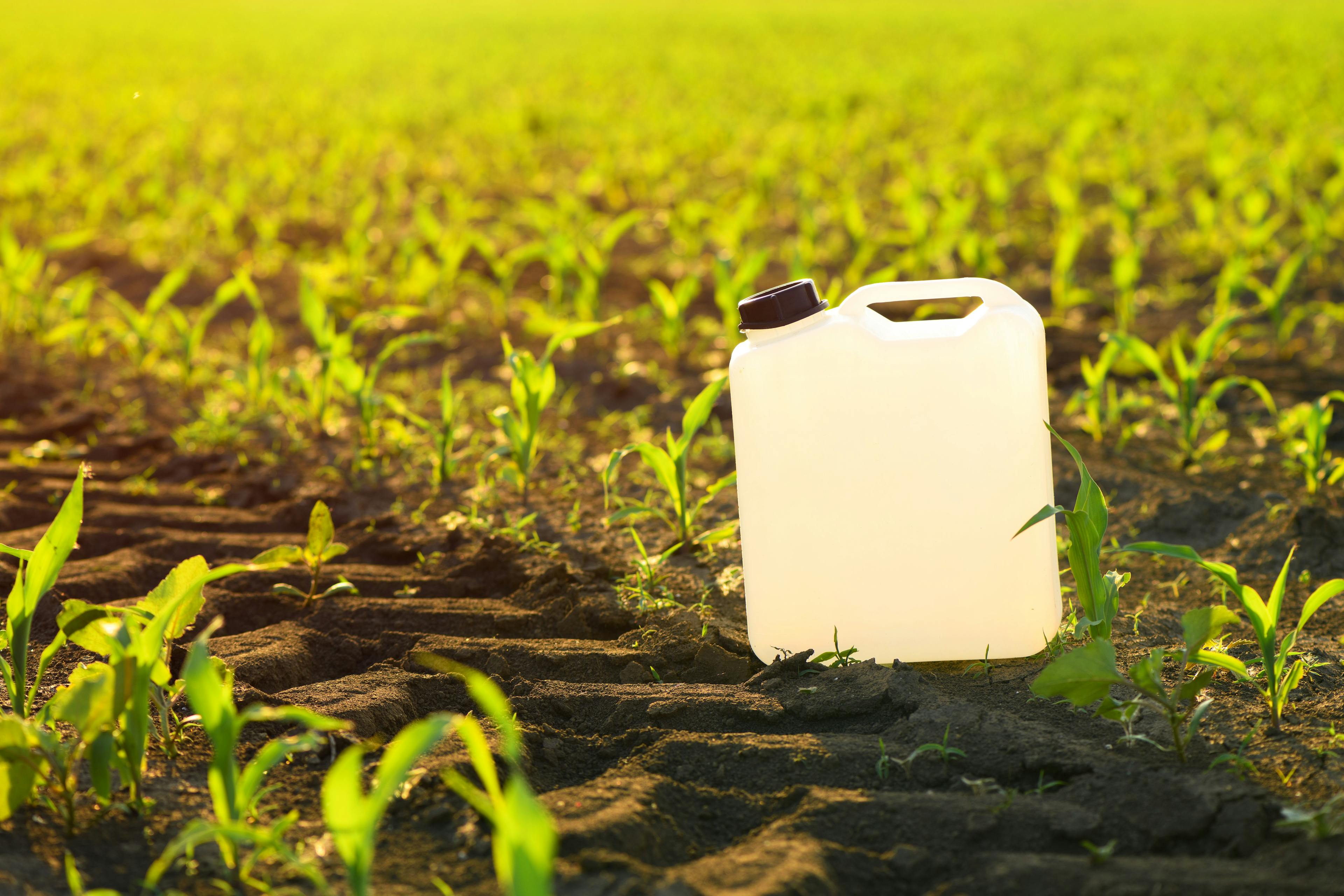 Blank white herbicide canister can in corn seedling field in springtime sunset | Image Credit: © Bits and Splits - stock.adobe.com