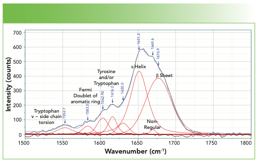 FIGURE 4: Spectrum of a fingernail in the region of the Amide I, including some aromatic bands below 1620 cm-1.