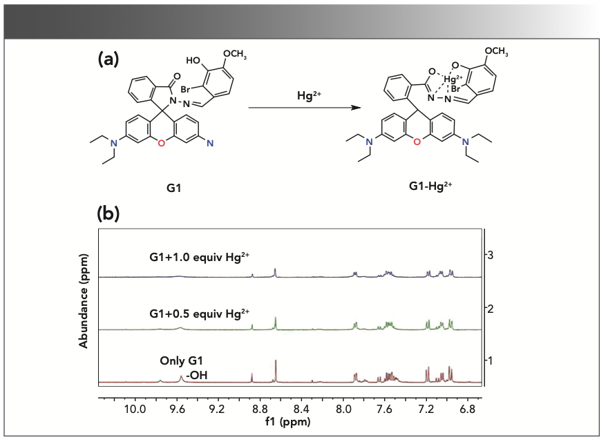 FIGURE 5: (a) The proposed reaction mechanism between G1 and Hg2+. (b) 1H NMR spectrum changes of different amounts of Hg2+ added dropwise in a G1 solution.