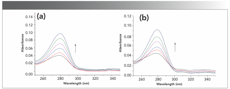 FIGURE S8: The UV-vis absorption spectra of (a) BSA and (b) HSA after the addition of forsythoside E at the different concentrations.