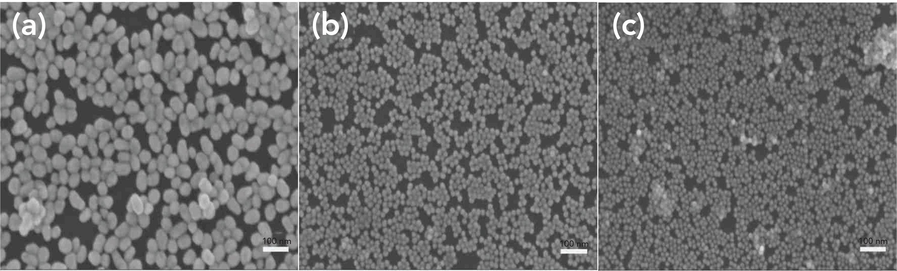 FIGURE 2: SEM images of gold nanoparticles with different particle sizes; (a) E1, (b) E2, (c) E3.