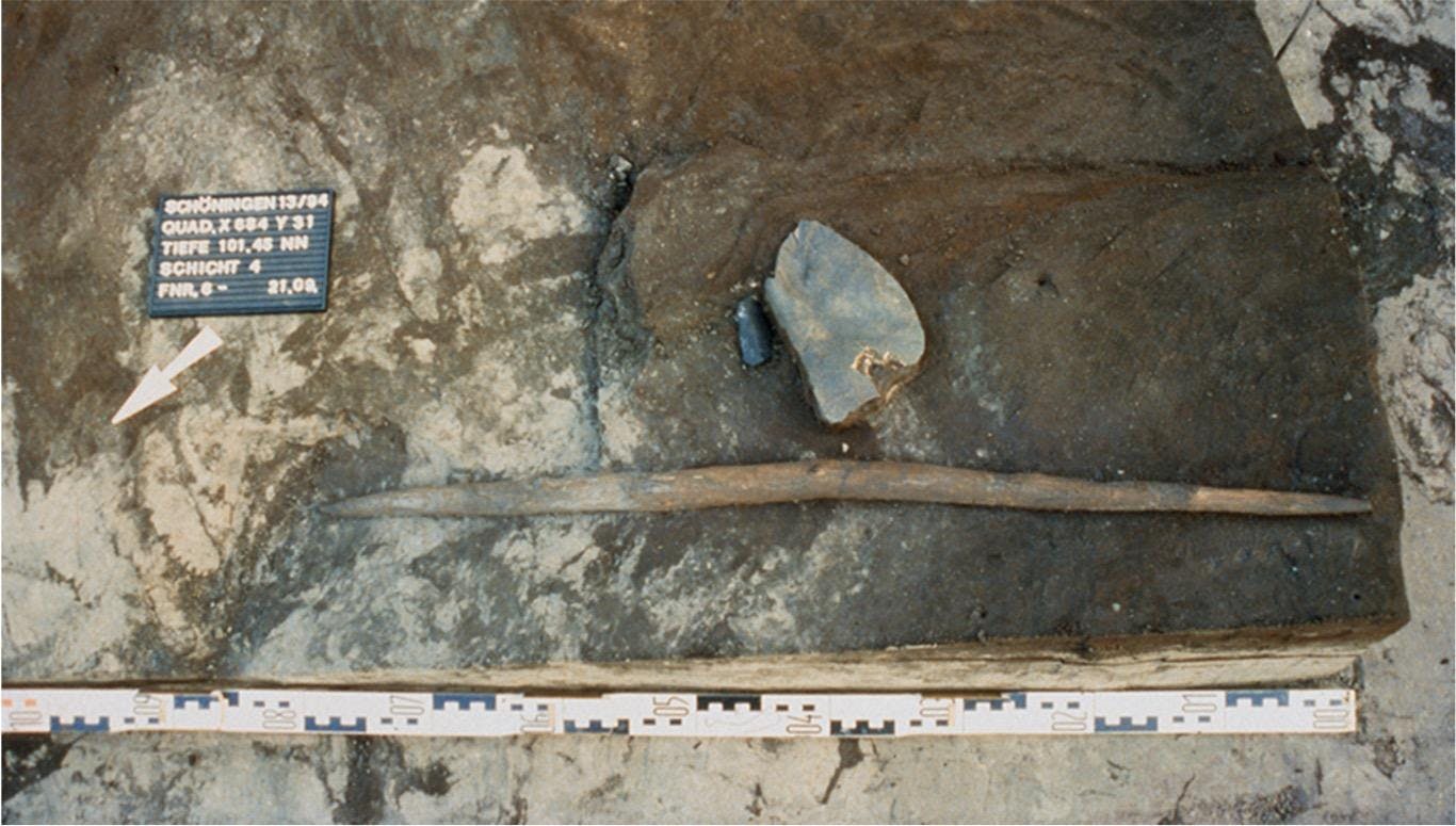 Excavation photograph of the double-pointed stick. | Image Credit: © Peter Pfarr - CC BY 4.0