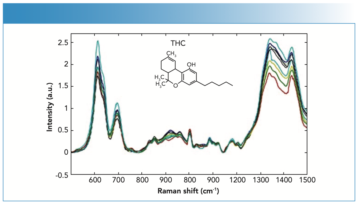 FIGURE 2: SERS spectra of the blood samples from patients with THC content.