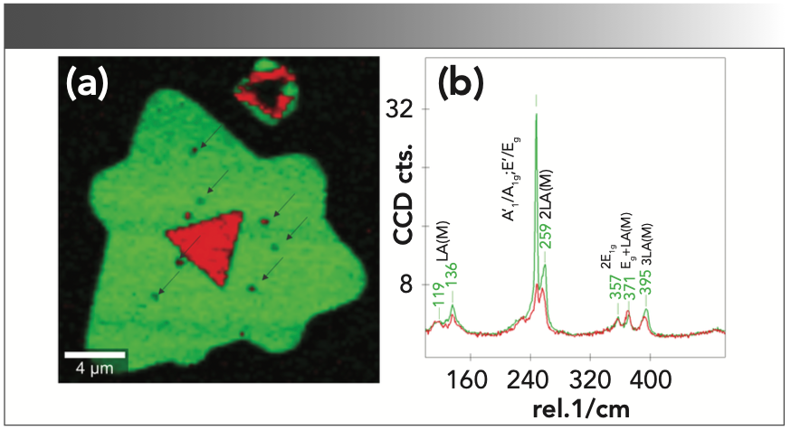 FIGURE 3: (a) Color-coded Raman image and the (b) corresponding Raman spectra evaluated from the two-dimensional (2D) array of spectra. Raman imaging parameters: 30 x 30 μm2, 120 x 120 pixels, Raman excitation laser 532 nm, laser power 2 mW, integration time per spectrum 0.1 s, 1800 g/mm grating.