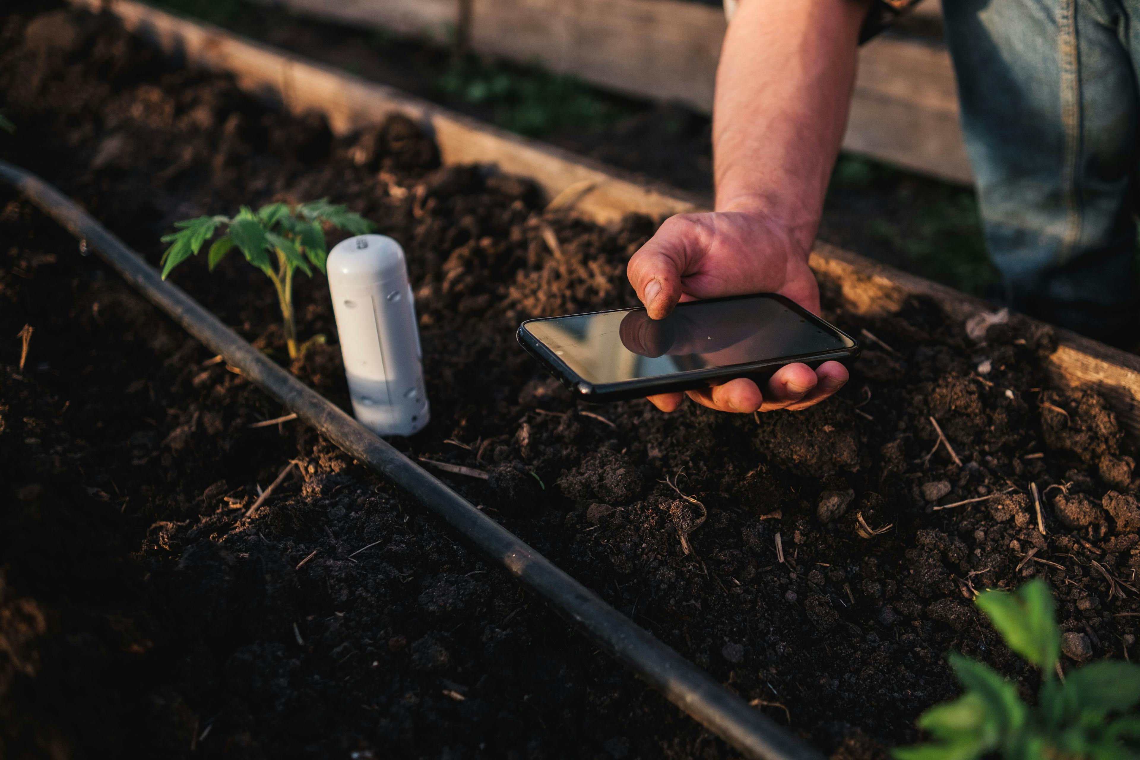 Gardener using mobile app checking monitoring soil moisture with smartphone | Image Credit: © memento_jpeg - stock.adobe.com