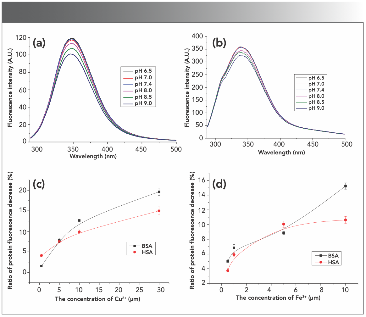 FIGURE 1: The intrinsic fluorescence of (a) BSA and (b) HSA in different envi- ronments. The pH range was 6.5, 7.0, 7.4, 8.0 8.5 and 9.0. (c) Cu2+ at 0.5, 5, 10, and 30 μM and (d) Fe3+ at 0.5, 1, 5, and 10 μM decreased the intrinsic fluorescence of the proteins in a concentration dependent way; n = 3.