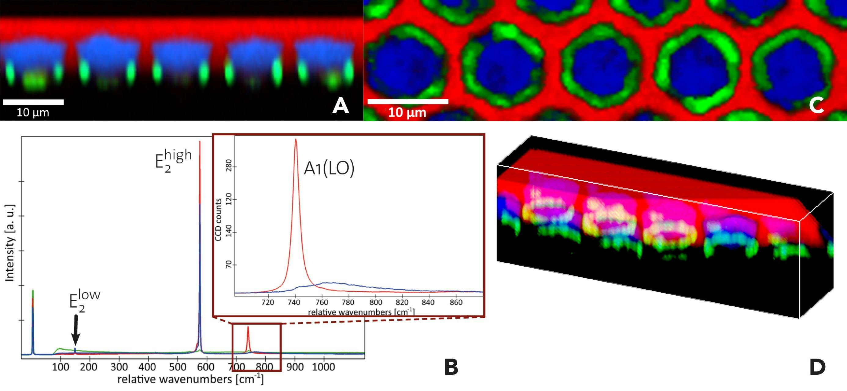 Figure 1: 3D Raman analysis of a GaN crystal grown on a patterned sapphire substrate. A: Depth scan (240 x 80 pixels on an area of 60 x 20 µm2) along the red line in Figure 1. B: Corresponding Raman spectra. In the inset, the green spectrum is omitted for clarity. C, D: 3D Raman image of the sample volume (180 x 45 x 20 pixels in a volume of 60 x 15 x 20 µm2). At the front right corner, a part of the structure is removed.