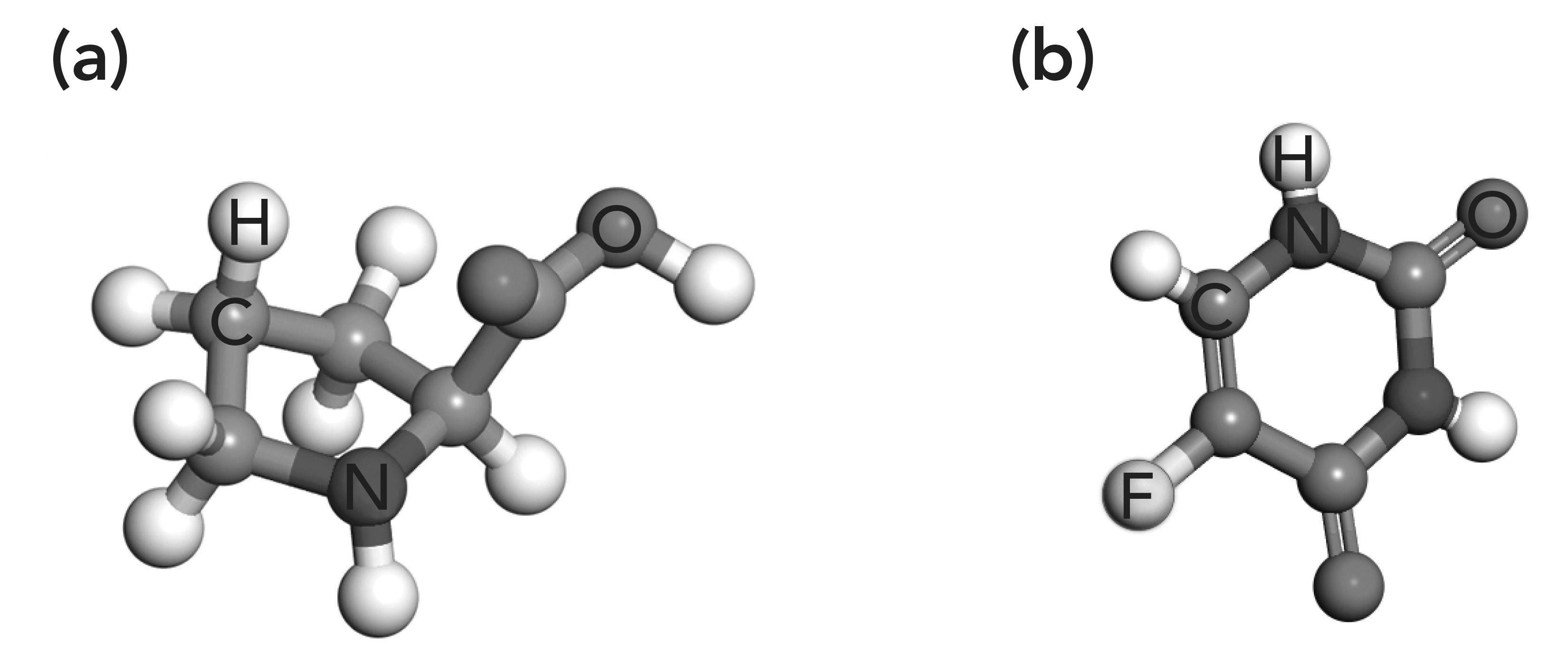 FIGURE 1: Molecular structure of (a) proline and (b) 5-FU.