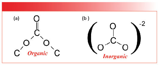 FIGURE 1: (a) The chemical structure of an organic carbonate, CO3. (b) The chemical structure of an inorganic carbonate anion, CO3-2.