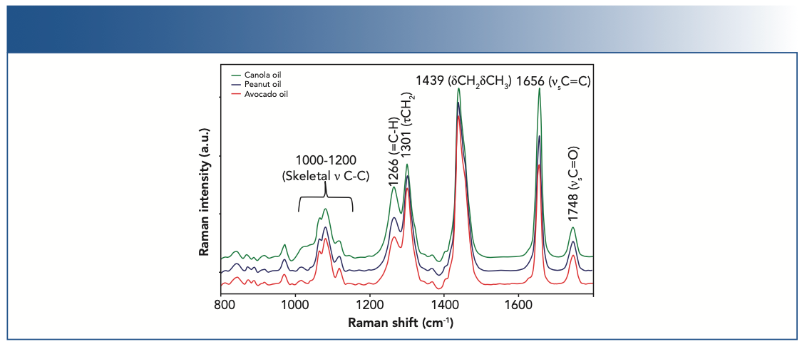 FIGURE 1: Raman spectra of canola, peanut, and avocado oils were collected from commercially available samples. Major bands in the oil spectra are noted and assigned.