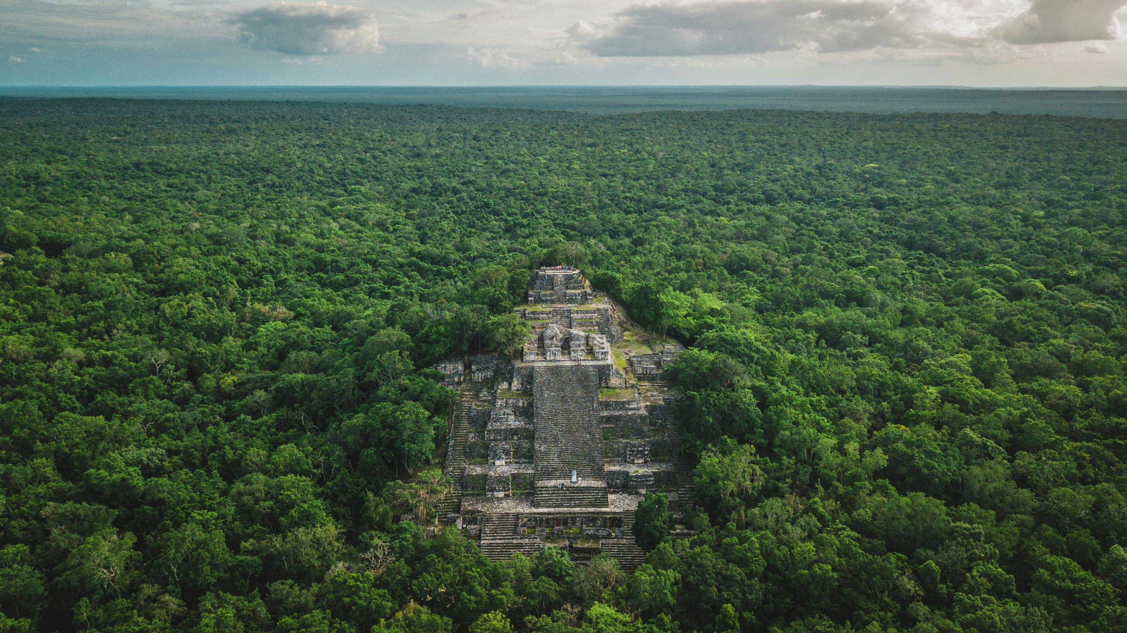 Aerial view of the pyramid, Calakmul, Campeche, Mexico. Ruins of the ancient Mayan city of Calakmul surrounded by the jungle | Image Credit: © Alfredo - stock.adobe.com