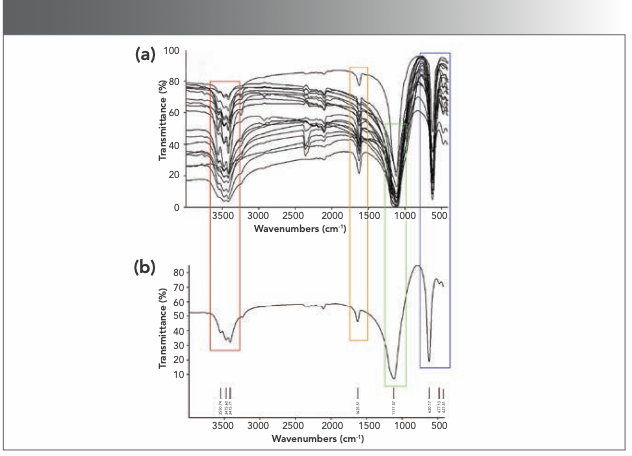 FIGURE 1: (a) Comparison between the Fourier-transform infrared spectra of 20 batches of natrii sulfas (sodium sulfate, Na2SO4) (M1–M20). There are eight strong peaks in the range of 400–4000 cm-1; (b) Fourier-transform infrared fingerprint of natrii sulfas. The wave numbers corresponding to the eight mutual peaks, which are the characteristic peaks of the Fourier-transform infrared fingerprint, are 3551, 3476, 3416, 1626, 1118, 620, 477, and 422 cm-1.