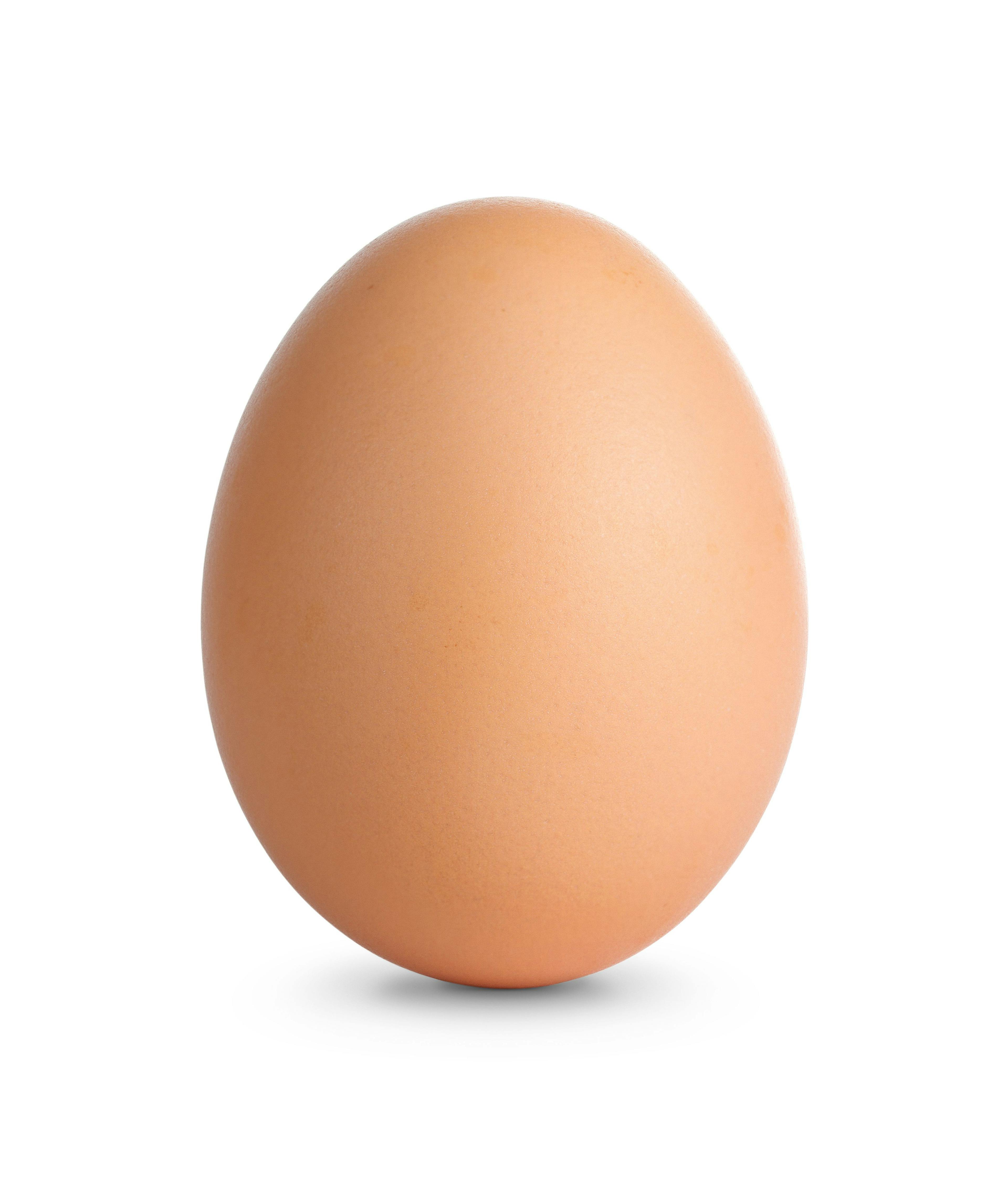 Close up of an egg isolated on white with clipping path | Image Credit: © rangizzz - stock.adobe.com