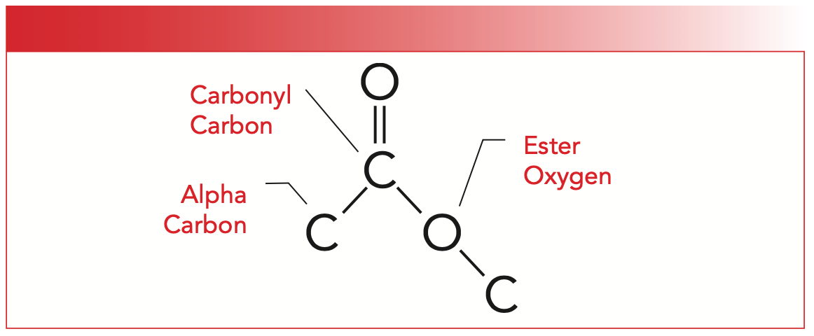 FIGURE 1: The molecular framework of the ester functional group.
