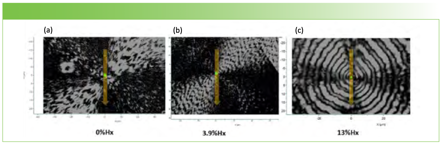 FIGURE 1: Crossed polarizer images of spherulites of PHBHx used for the Raman polarization measurements along a vertical line profile through the middle of the spherulite. From left to right the hydroxyhexanoate composition was (a) 0, (b) 3.9, and (c) 13 %. X- and Y-axes labels are spatial coordinates in μm.