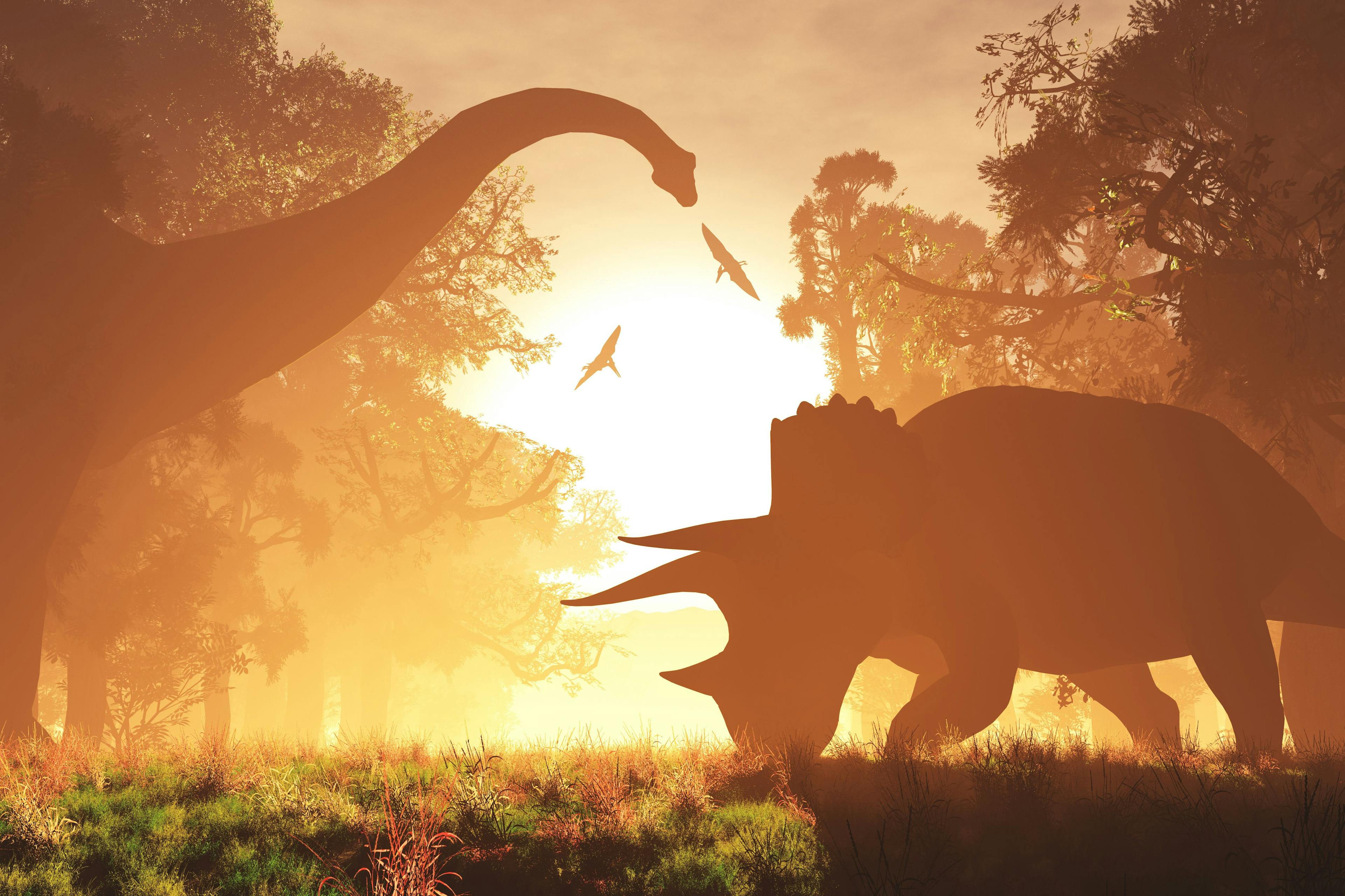 Mysterious Magical Prehistoric Fantasy Scene Sunset Sunrise 3D | Image Credit: © boscorelli - stock.adobe.com