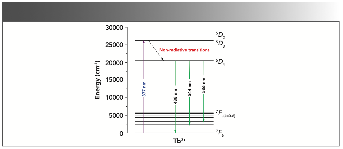 FIGURE 4: Energy level diagram for Tb3+ doped MgAl2O4 nanophosphor.