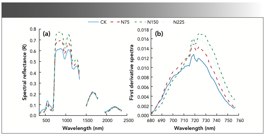 FIGURE 1: (a) Canopy hyperspectral reflectance at different nitrogen levels. (b) Canopy red edge at different nitrogen levels.