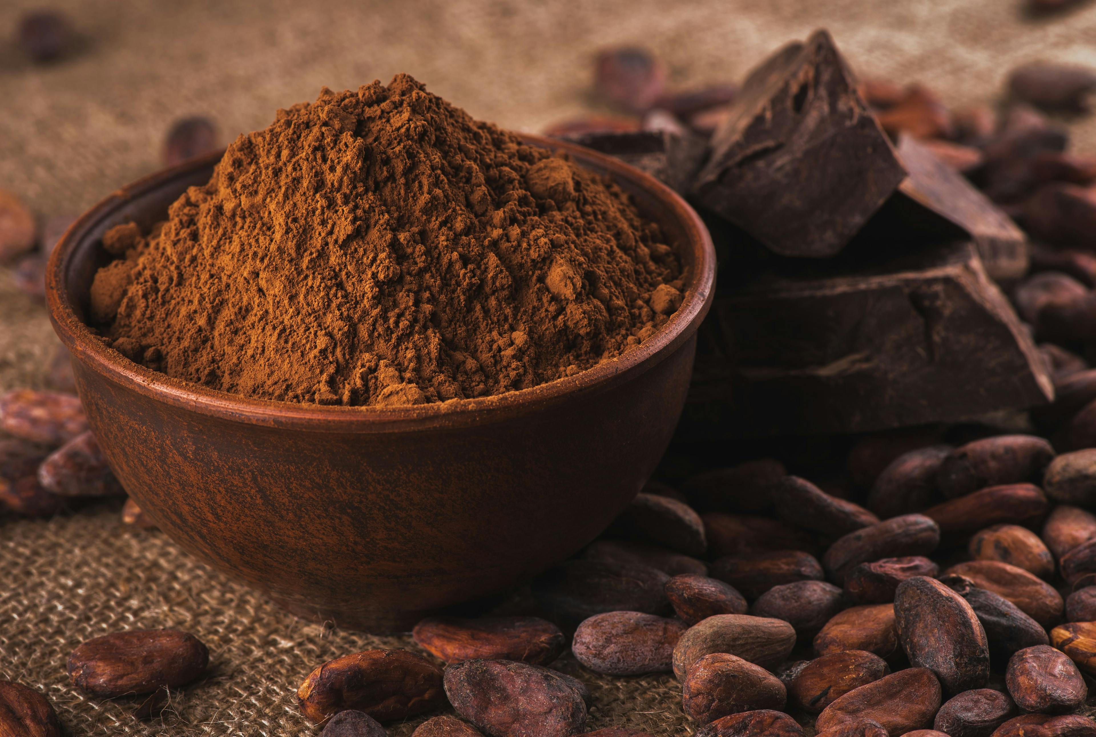 cocoa powder in a brown ceramic bowl, raw cocoa beans | Image Credit: © iprachenko - stock.adobe.com