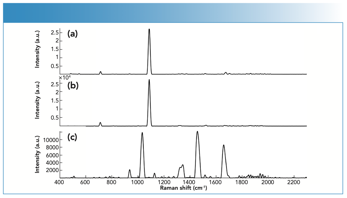 FIGURE 4: Raman spectra of (a) fingernail clipping spiked with cocaine powder, specifically cocaine HCl powder, (b) fingernail clipping spiked with cocaine HCl powder, and (c) unspiked fingernail clipping measured using the handheld Raman spectrometer.