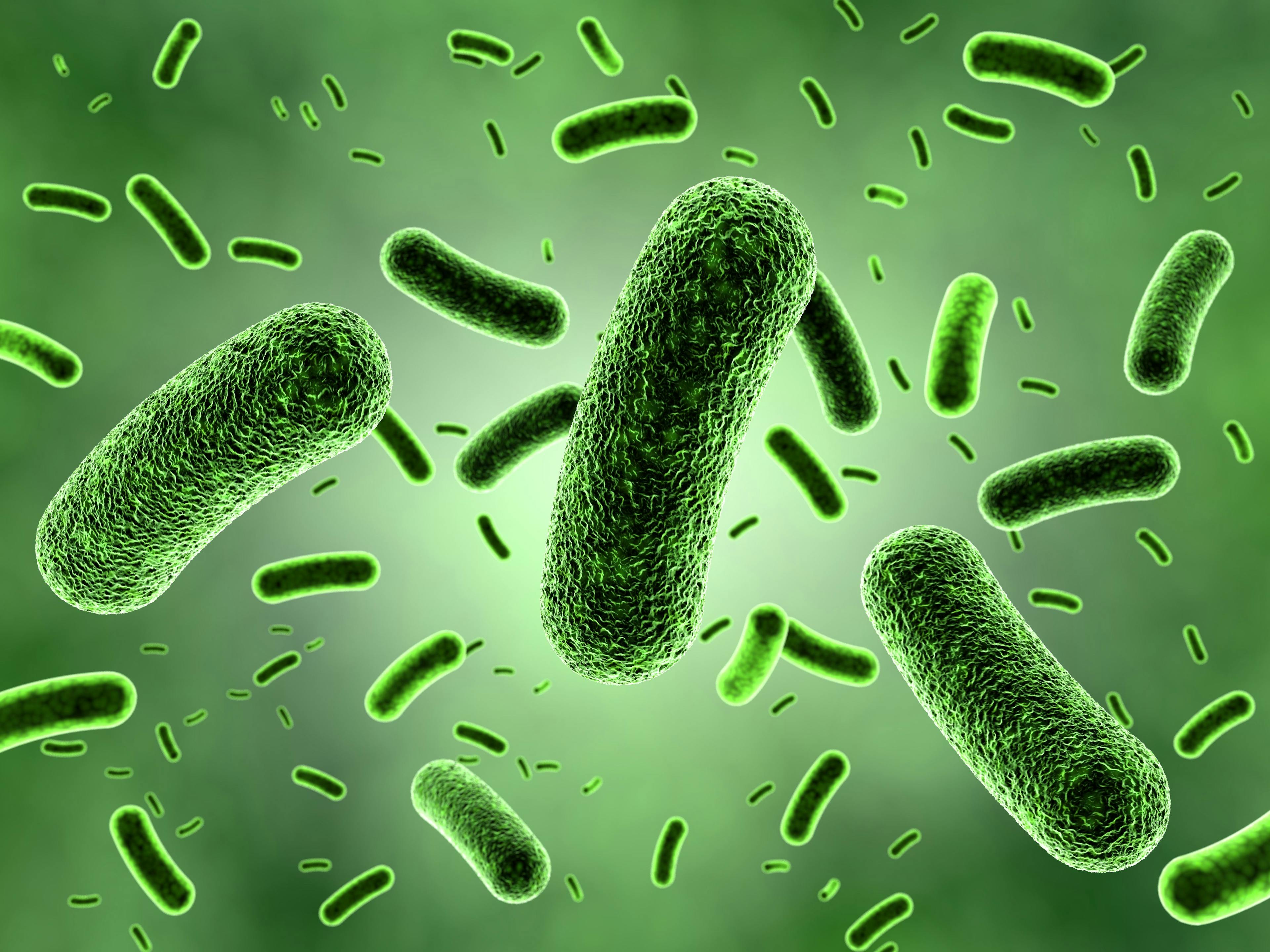 Green Bacteria Colony | Image Credit: © zuki70 - stock.adobe.com