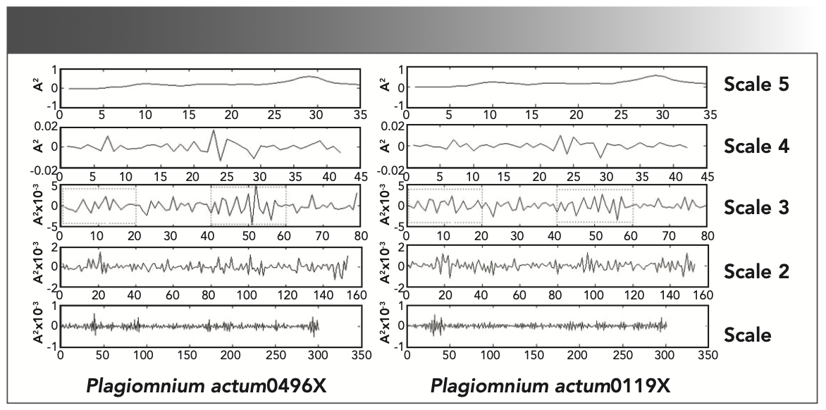 FIGURE 7: Results of the multi-resolution decomposition for FT-IR spectra with DWT of the two samples of Plagiomnium actum (Plagiomnium actum 0496X, Plagiomnium actum 0119X).