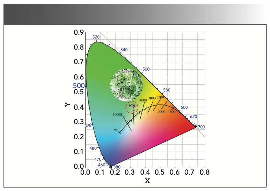 FIGURE 7: The CIE color coordinate diagram for MgAl2O4: Tb3+ phosphors.