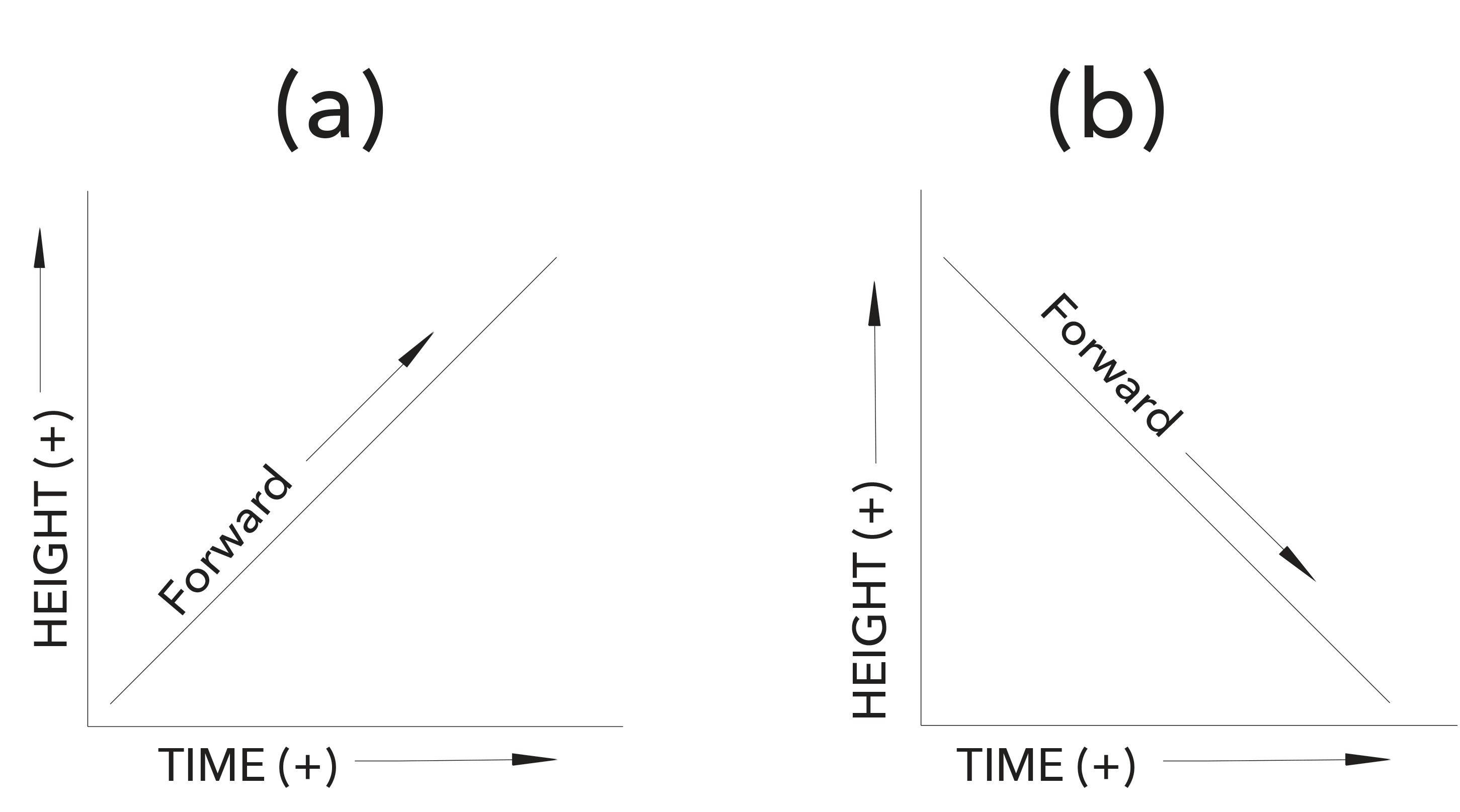 FIGURE 1: Schematic illustration of movement on a hill. In both parts of the figure, time is positive going toward the right, and height is positive upward. In part (a), movement with increasing time is up the hill (+), while in part (b), movement is down the hill (-). In both cases, moving toward “negative time” inverts the nature of the change in altitude.